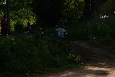 DSC_8532 (Large).JPG